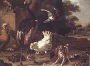Melchior de Hondecoeter Birds and a Spaniel in a Garden (mk25) oil painting picture wholesale